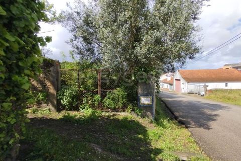 Helårsgrund i Monte Real, Leiria, Monte Real - € 320.000 | Ref: RR97148 - foto 3