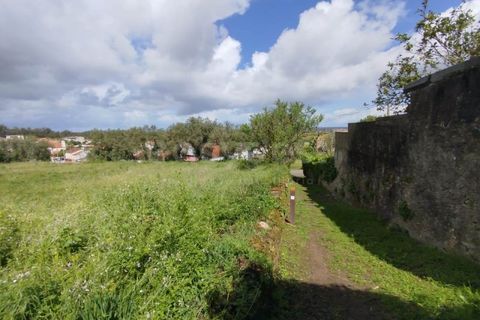 Helårsgrund i Monte Real, Leiria, Monte Real - € 320.000 | Ref: RR97148 - foto 6