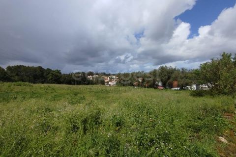 Helårsgrund i Monte Real, Leiria, Monte Real - € 320.000 | Ref: RR97148 - foto 8