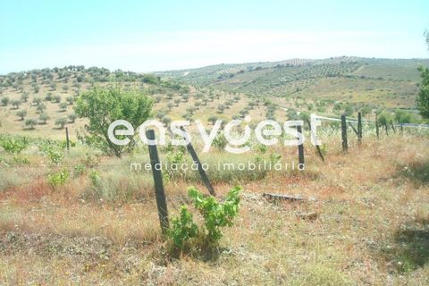 Grond in Almendra, Guarda, Almendra - € 27.000 | Ref: BG73241TM - foto 2