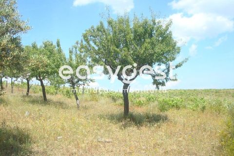 Grond in Almendra, Guarda, Almendra - € 27.000 | Ref: BG73241TM - foto 3