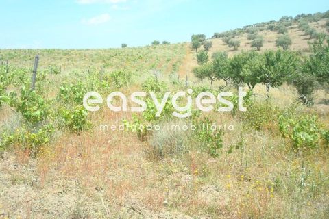 Grond in Almendra, Guarda, Almendra - € 27.000 | Ref: BG73241TM - foto 4