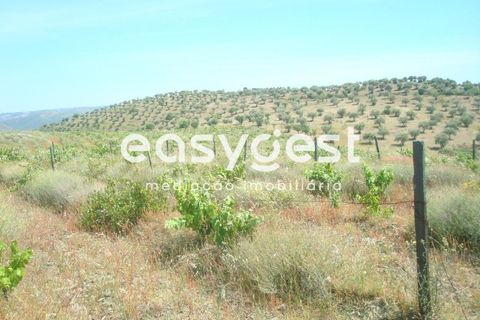 Grond in Almendra, Guarda, Almendra - € 27.000 | Ref: BG73241TM - foto 5