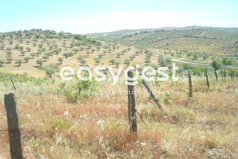 Grond in Almendra, Guarda, Almendra - € 27.000 | Ref: BG73241TM - foto 6