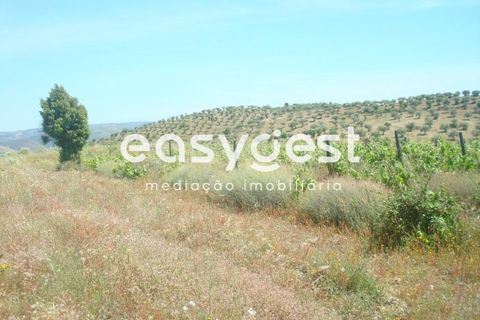 Grond in Almendra, Guarda, Almendra - € 27.000 | Ref: BG73241TM - foto 7