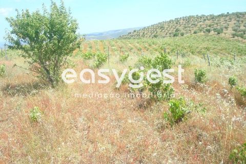 Grond in Almendra, Guarda, Almendra - € 27.000 | Ref: BG73241TM - foto 8