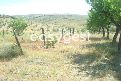 Grond in Almendra, Guarda, Almendra - € 27.000 | Ref: BG73241TM - foto 9