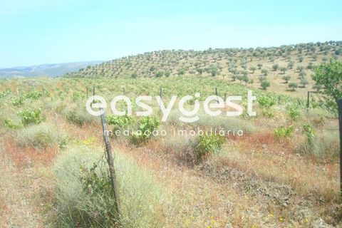 Grond in Almendra, Guarda, Almendra - € 27.000 | Ref: BG73241TM - foto 10