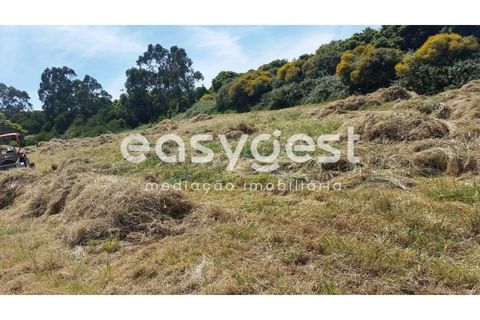Helårsgrund i Sintra, Lisbon, Sintra - € 400.000 | Ref: MM71638MC - foto 1