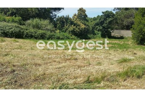 Helårsgrund i Sintra, Lisbon, Sintra - € 400.000 | Ref: MM71638MC - foto 2
