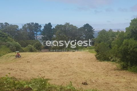 Helårsgrund i Sintra, Lisbon, Sintra - € 400.000 | Ref: MM71638MC - foto 3