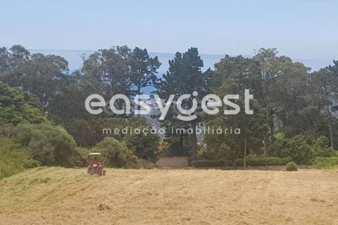 Helårsgrund i Sintra, Lisbon, Sintra - € 400.000 | Ref: MM71638MC - foto 4