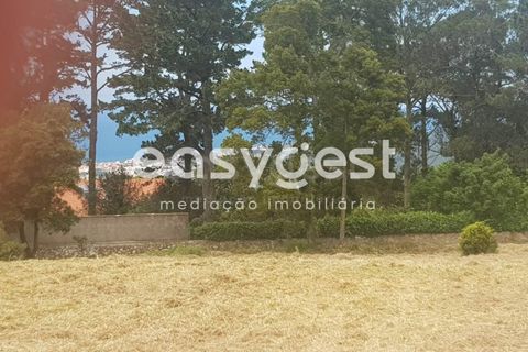 Helårsgrund i Sintra, Lisbon, Sintra - € 400.000 | Ref: MM71638MC - foto 5