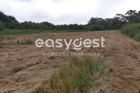 Helårsgrund i Sintra, Lisbon, Sintra - € 400.000 | Ref: MM71638MC - foto 6