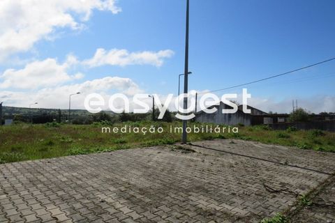 Tomt i Alvito, Beja, Alvito - € 18 000 | Ref: BJ69830AJ - foto 3