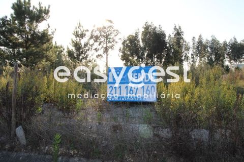 Helårsgrund i Antuzede e Vil de Matos, Coimbra, Antuzede e Vil de Matos - € 67.500 | Ref: RR65615 - foto 1