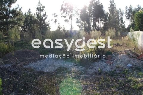 Helårsgrund i Antuzede e Vil de Matos, Coimbra, Antuzede e Vil de Matos - € 67.500 | Ref: RR65615 - foto 4