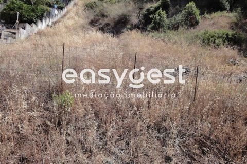 Terra em Barcarena, Lisbon, Barcarena - € 125.000 | Ref: LX63906 - foto 1
