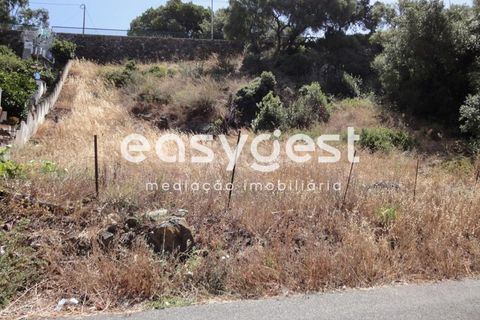 Terra em Barcarena, Lisbon, Barcarena - € 125.000 | Ref: LX63906 - foto 2
