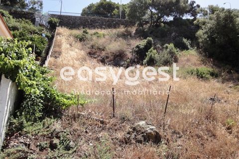 Terra em Barcarena, Lisbon, Barcarena - € 125.000 | Ref: LX63906 - foto 3
