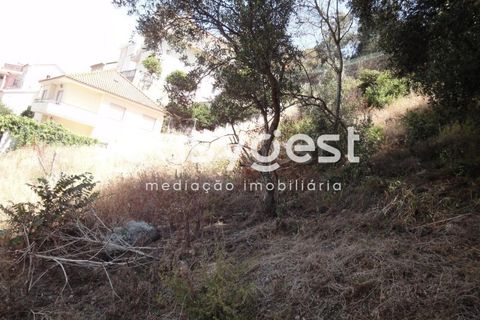 Terra em Barcarena, Lisbon, Barcarena - € 125.000 | Ref: LX63906 - foto 10
