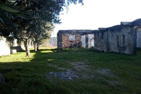 Helårsgrund i Celorico da Beira, Guarda, Celorico da Beira - € 20.800 | Ref: GD62332FM - foto 1
