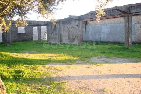 Helårsgrund i Celorico da Beira, Guarda, Celorico da Beira - € 20.800 | Ref: GD62332FM - foto 2