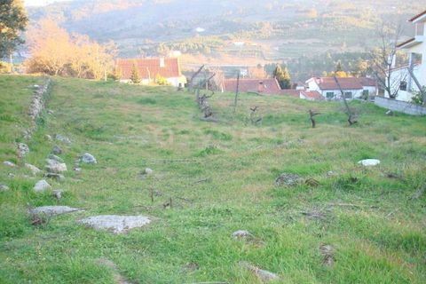 Helårsgrund i Celorico da Beira, Guarda, Celorico da Beira - € 20.800 | Ref: GD62332FM - foto 3