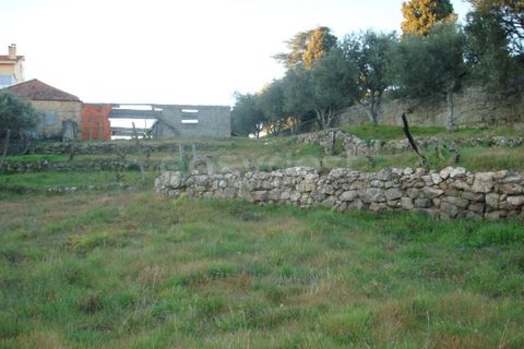Helårsgrund i Celorico da Beira, Guarda, Celorico da Beira - € 20.800 | Ref: GD62332FM - foto 5