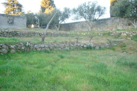 Helårsgrund i Celorico da Beira, Guarda, Celorico da Beira - € 20.800 | Ref: GD62332FM - foto 6