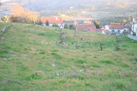 Helårsgrund i Celorico da Beira, Guarda, Celorico da Beira - € 20.800 | Ref: GD62332FM - foto 8