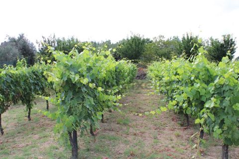 Villa a Frende, Porto, Frende - € 480.000 | Ref: CAS_1788 - foto 44