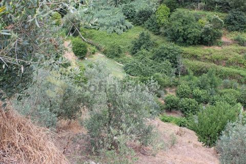 Villa a Frende, Porto, Frende - € 480.000 | Ref: CAS_1788 - foto 46