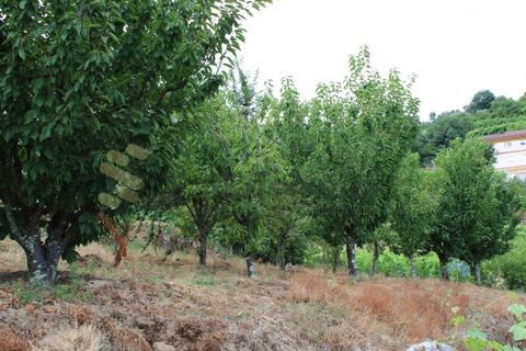 Villa a Frende, Porto, Frende - € 480.000 | Ref: CAS_1788 - foto 47