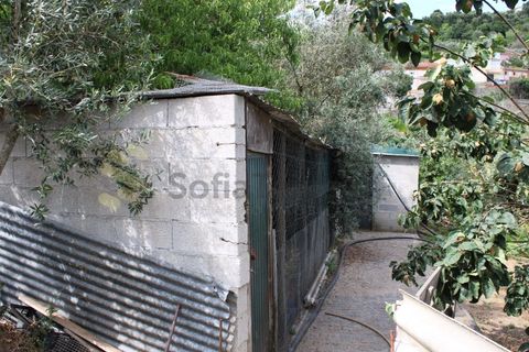 Villa a Frende, Porto, Frende - € 480.000 | Ref: CAS_1788 - foto 49
