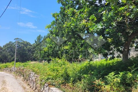 Grond in Areosa, Viana do Castelo, Areosa - € 187.250 | Ref: C0236/00391 - foto 5