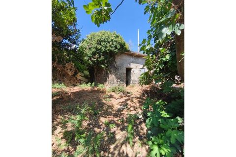 Gård i Guilhufe e urro, Porto, Guilhufe e urro - € 399 000 | Ref: FIN_289 - foto 19