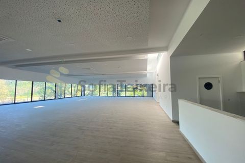Gård i Paco de Sousa, Porto, Paco de Sousa - € 3 000 000 | Ref: MAS_286 - foto 5