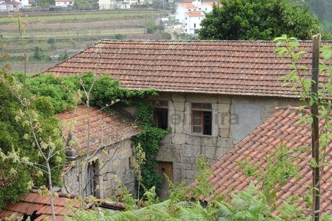 Gård i Paco de Sousa, Porto, Paco de Sousa - € 3 000 000 | Ref: MAS_286 - foto 22