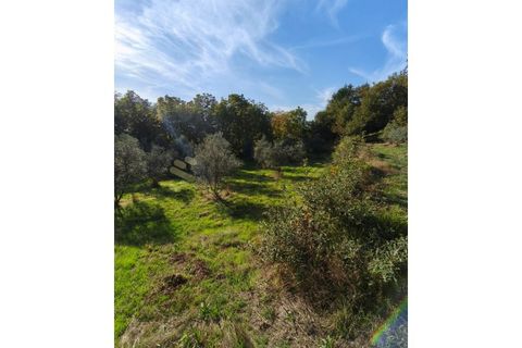 Terra em Regadas, Braga, Regadas - € 48.500 | Ref: TER_426 - foto 5