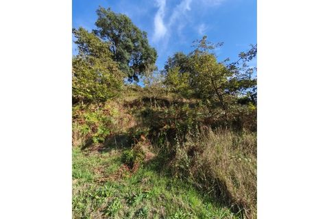 Terra em Regadas, Braga, Regadas - € 48.500 | Ref: TER_426 - foto 7