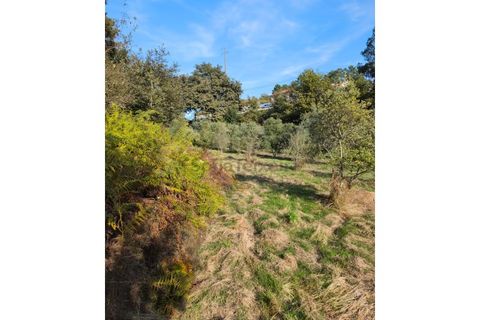 Terra em Regadas, Braga, Regadas - € 48.500 | Ref: TER_426 - foto 11