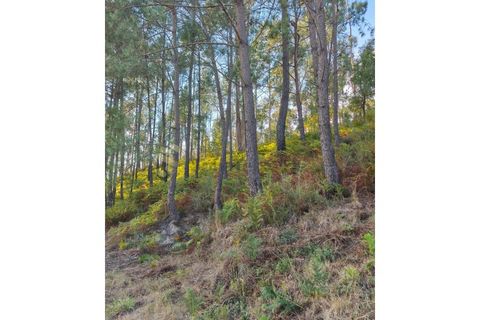 Terra em Regadas, Braga, Regadas - € 48.500 | Ref: TER_426 - foto 13