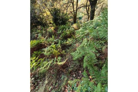 Terra em Regadas, Braga, Regadas - € 48.500 | Ref: TER_426 - foto 17