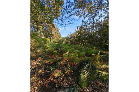 Terra em Regadas, Braga, Regadas - € 48.500 | Ref: TER_426 - foto 18