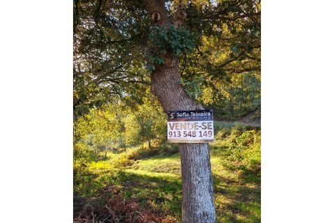 Terra em Regadas, Braga, Regadas - € 48.500 | Ref: TER_426 - foto 22