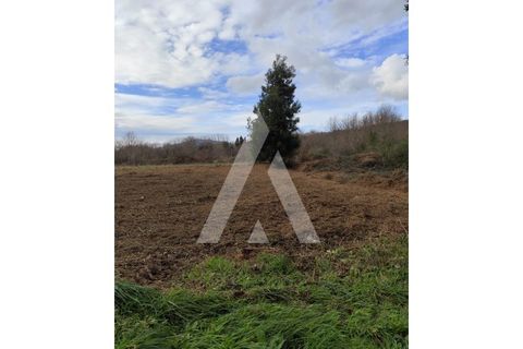 Helårsgrund i Caminha, Viana do Castelo, Caminha - € 25.000 | Ref: 1350156/25VC - foto 3