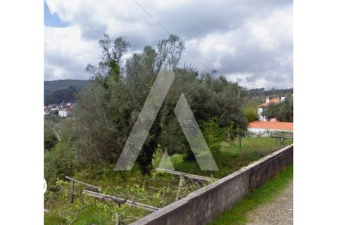 Helårsgrund i Caminha, Viana do Castelo, Caminha - € 70.000 | Ref: 1350194/25VC - foto 3