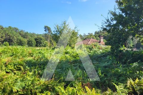 Helårsgrund i Esposende, Braga, Esposende - € 950.000 | Ref: 1350118/24VC - foto 15