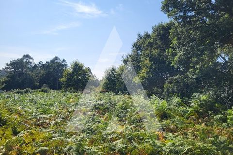Helårsgrund i Esposende, Braga, Esposende - € 950.000 | Ref: 1350118/24VC - foto 18